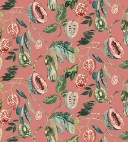 Baby Guava Fabric by Arley House Sorbet
