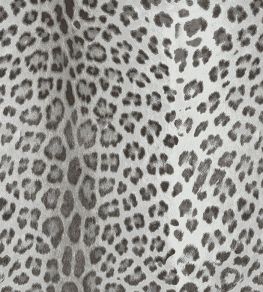 Baby Leopard Fabric by Arley House Granite