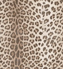 Baby Leopard Fabric by Arley House Taupe