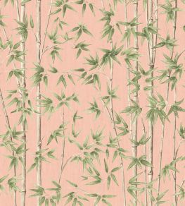 Bamboozle Wallpaper by Woodchip & Magnolia Salmon