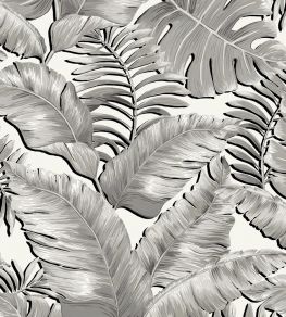 Banana Leaves Wallpaper by Brand McKenzie Black / White