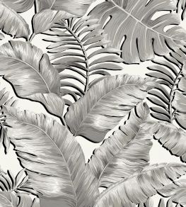 Banana Leaves Max Wallpaper by Brand McKenzie Black / White