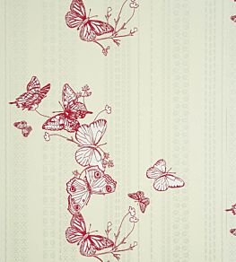 Bugs and Butterflies Wallpaper by Barneby Gates Raspberry
