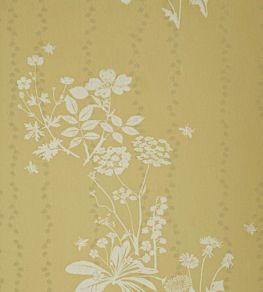 Wild Meadow Wallpaper by Barneby Gates Dandelion