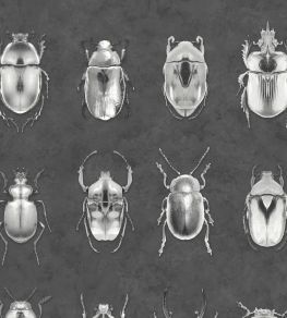 Beetle Jewels Wallpaper by Woodchip & Magnolia Silver/Grey
