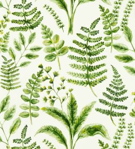 Bracken Wallpaper by Clarke & Clarke Forest