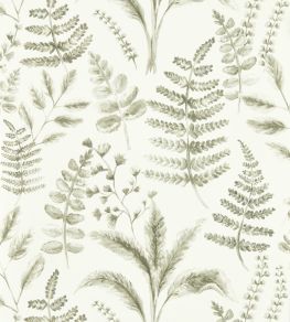 Bracken Wallpaper by Clarke & Clarke Natural