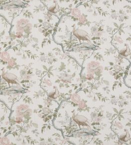 Broughton Rose Fabric by GP & J Baker Blush