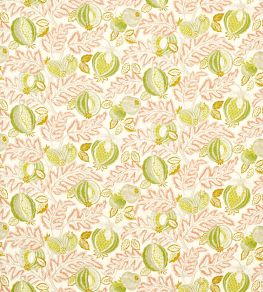 Cantaloupe Outdoor Fabric by Sanderson Matcha/Conch