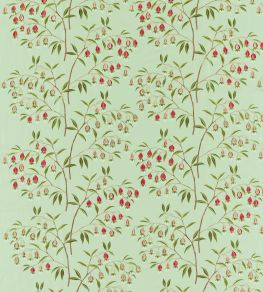 Chinese Lantern Fabric by Sanderson Mint & Apricot