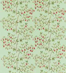 Chinese Lantern Fabric by Sanderson Mint & Apricot