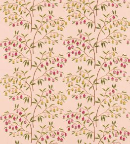 Chinese Lantern Fabric by Sanderson Peach Blossom