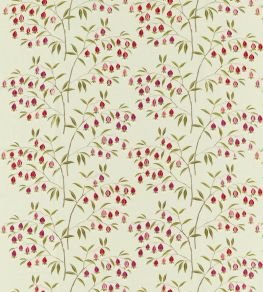 Chinese Lantern Fabric by Sanderson Wild Plum