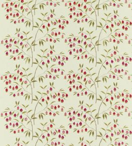 Chinese Lantern Fabric by Sanderson Wild Plum