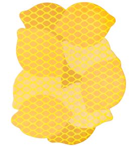 Citrus Rug by GAN Lemon