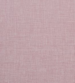 Albany Fabric by Clarke & Clarke Blush
