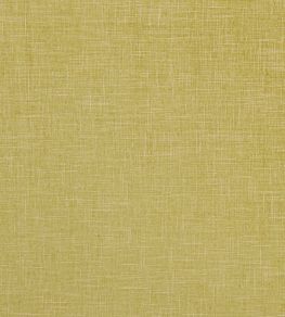 Albany Fabric by Clarke & Clarke Citron