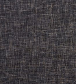 Albany Fabric by Clarke & Clarke Ebony