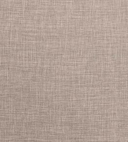Albany Fabric by Clarke & Clarke Latte