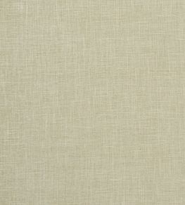 Albany Fabric by Clarke & Clarke Sage