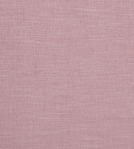 Moray Fabric by Clarke & Clarke Blush