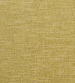 Moray Fabric by Clarke & Clarke Citron