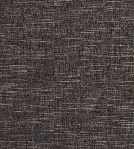 Moray Fabric by Clarke & Clarke Ebony