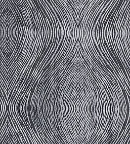 Luster Fabric by Clarke & Clarke Charcoal