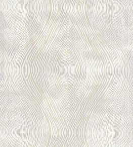 Luster Fabric by Clarke & Clarke Ivory