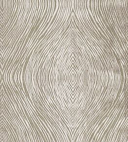 Luster Fabric by Clarke & Clarke Mocha