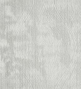 Luster Fabric by Clarke & Clarke Silver