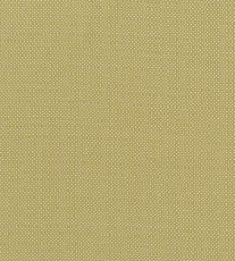 Kauai Fabric by Clarke & Clarke Citron