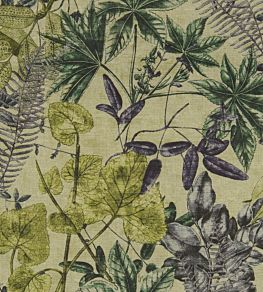 Madagascar Fabric by Clarke & Clarke Forest