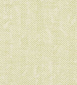 Ashmore Fabric by Clarke & Clarke Citron