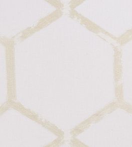 Forma Fabric by Clarke & Clarke Champagne