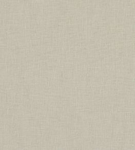 Midori Fabric by Clarke & Clarke Raffia
