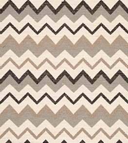 Chooli Fabric by Clarke & Clarke Ebony