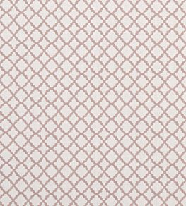 Ariyana Fabric by Clarke & Clarke Blush