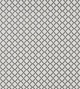 Ariyana Fabric by Clarke & Clarke Charcoal