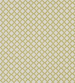 Ariyana Fabric by Clarke & Clarke Chartreuse