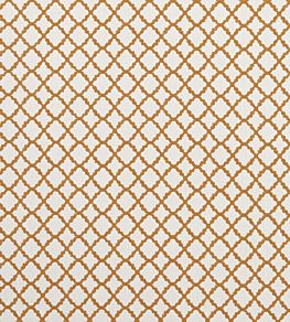 Ariyana Fabric by Clarke & Clarke Spice