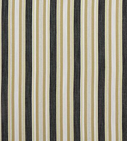 Ziba Fabric by Clarke & Clarke Charcoal/Ochre