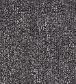 Acies Fabric by Clarke & Clarke Charcoal