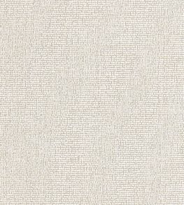 Acies Fabric by Clarke & Clarke Dove