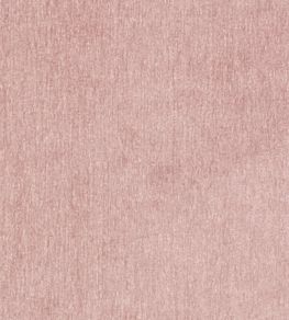 Maculo Fabric by Clarke & Clarke Blush