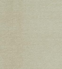 Maculo Fabric by Clarke & Clarke Ivory
