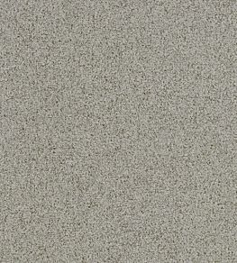 Misto Fabric by Clarke & Clarke Sesame