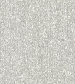 Pianura Fabric by Clarke & Clarke Feather