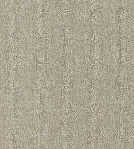 Pianura Fabric by Clarke & Clarke Taupe