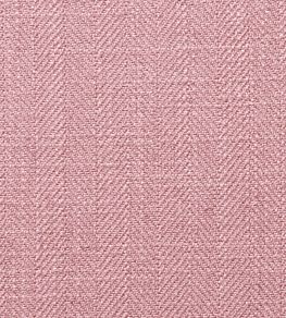 Henley Fabric by Clarke & Clarke Peony